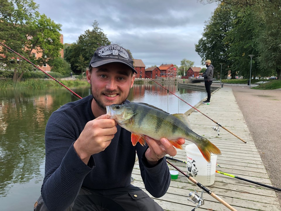 Fiske i Nyköpingsån