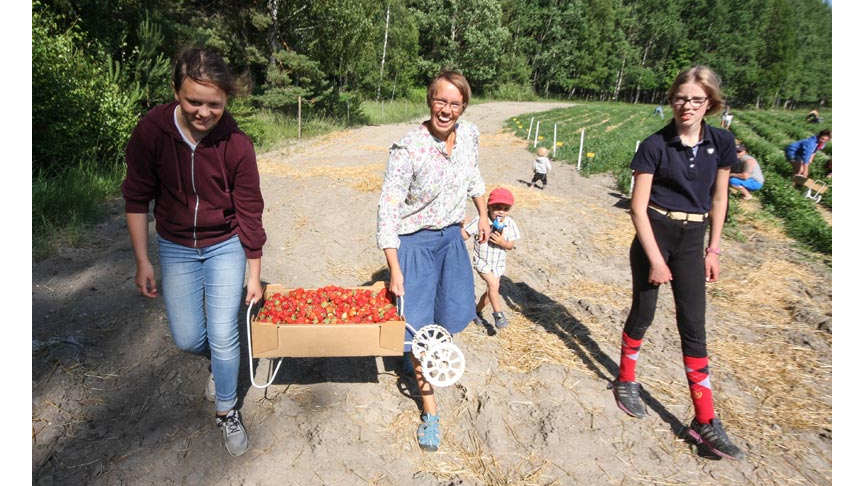 Människor som går och håller i en kartong med jordgubbar