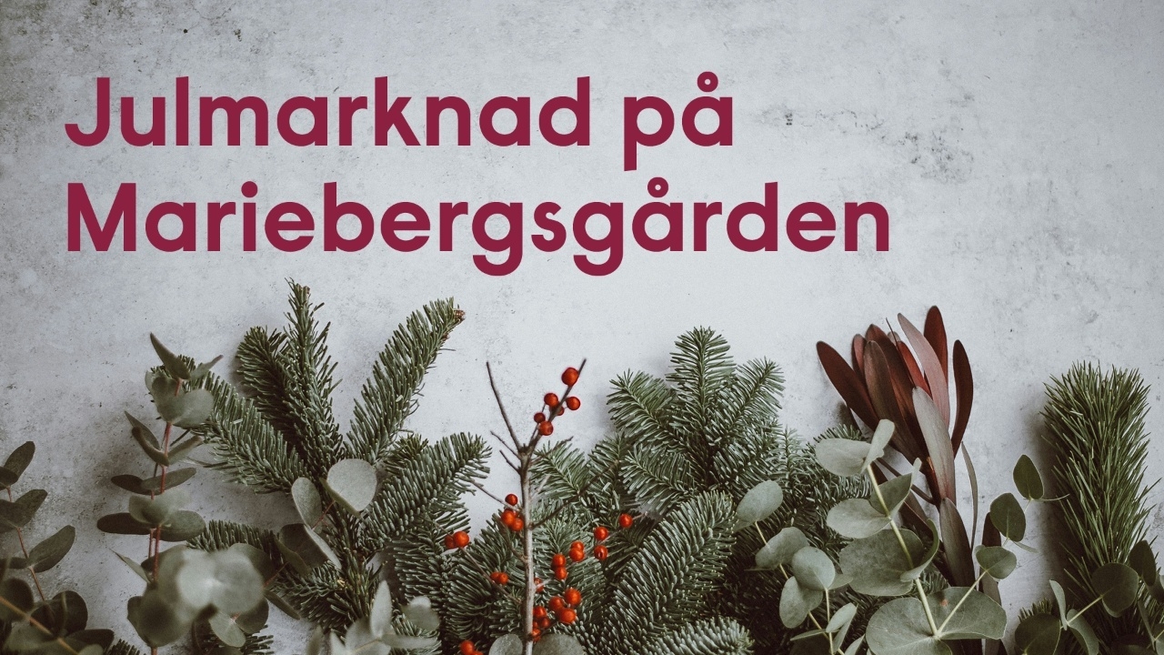 Julmarknad på Mariebergsgården