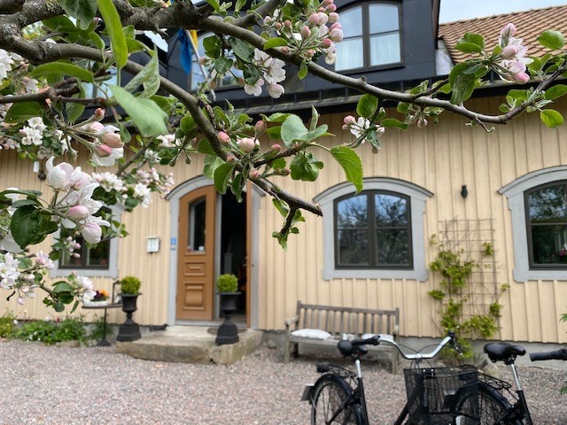 Välkommen till en Söndag med Yoga och Lunch i Runnviken pensionat.
