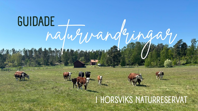 Natur på Horsvik