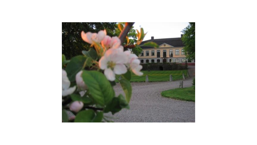 Runnvikens Pensionat