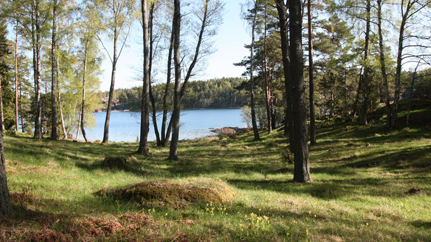 Sävö naturreservat