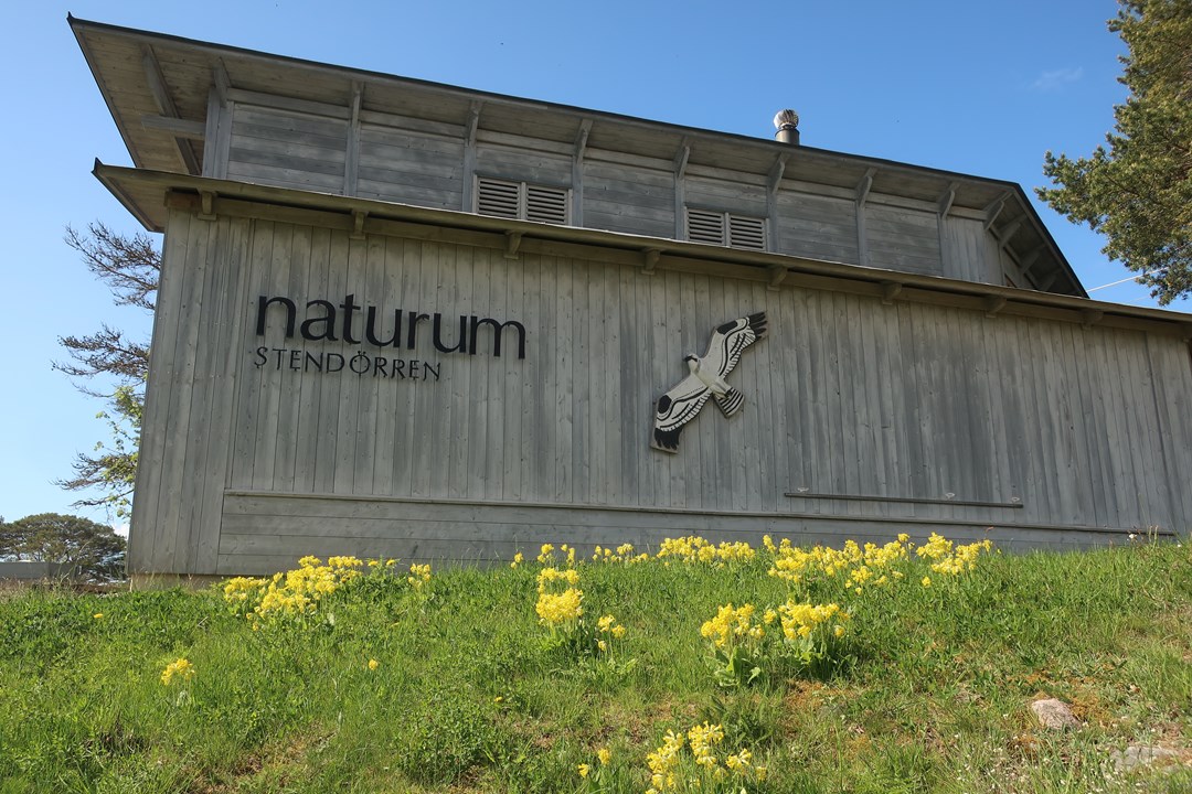 Bild till verksamhet: Naturum Stendörren1