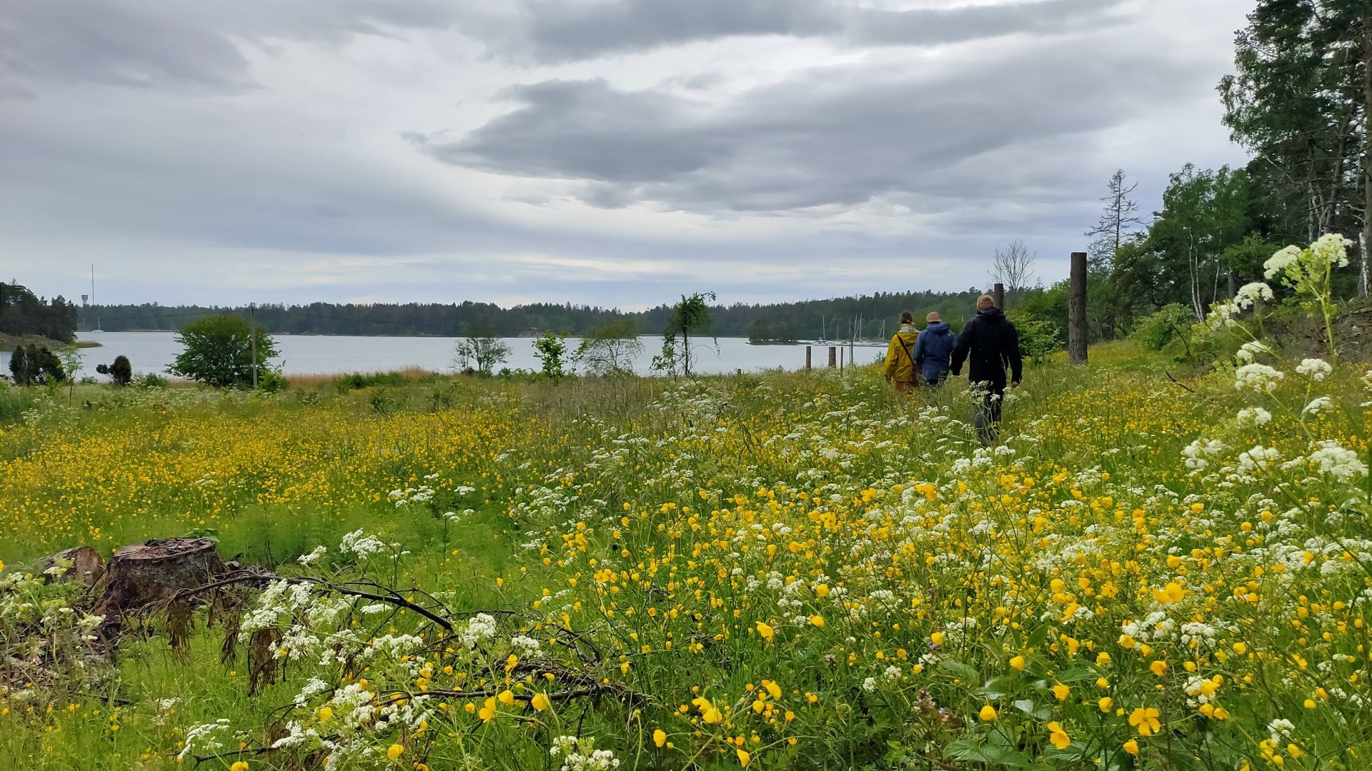 Nynäs: naturguidad vandring inkl fika