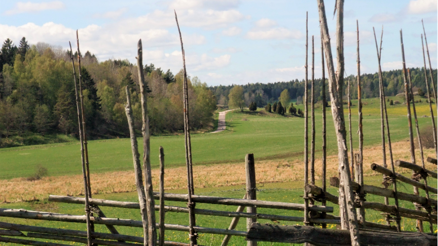 Nordic Trails