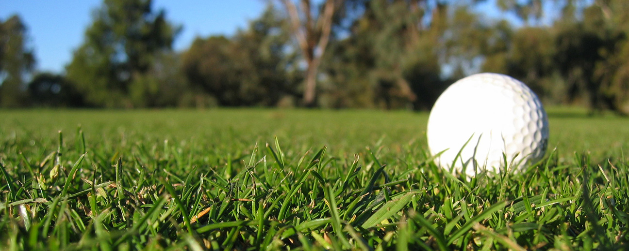 En golfboll på grönt gräs.
