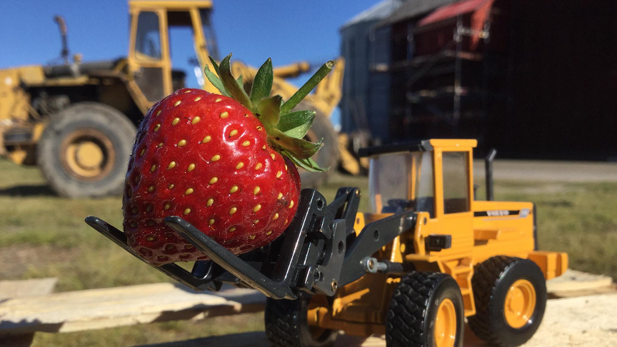 En leksakshjullastare har en jordgubbe på sin lyftarm.