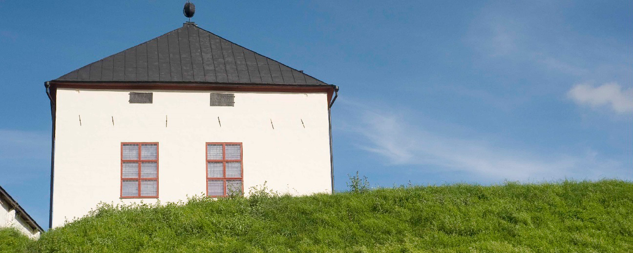 Nyköpings hus tittar fram bakom en gräsbeklädd kulle.
