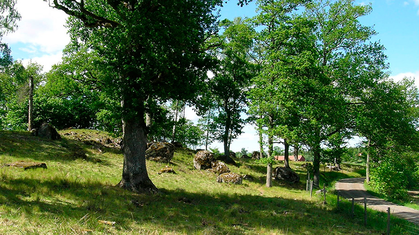 En kulle med stora stenar och träd vid en grusväg.