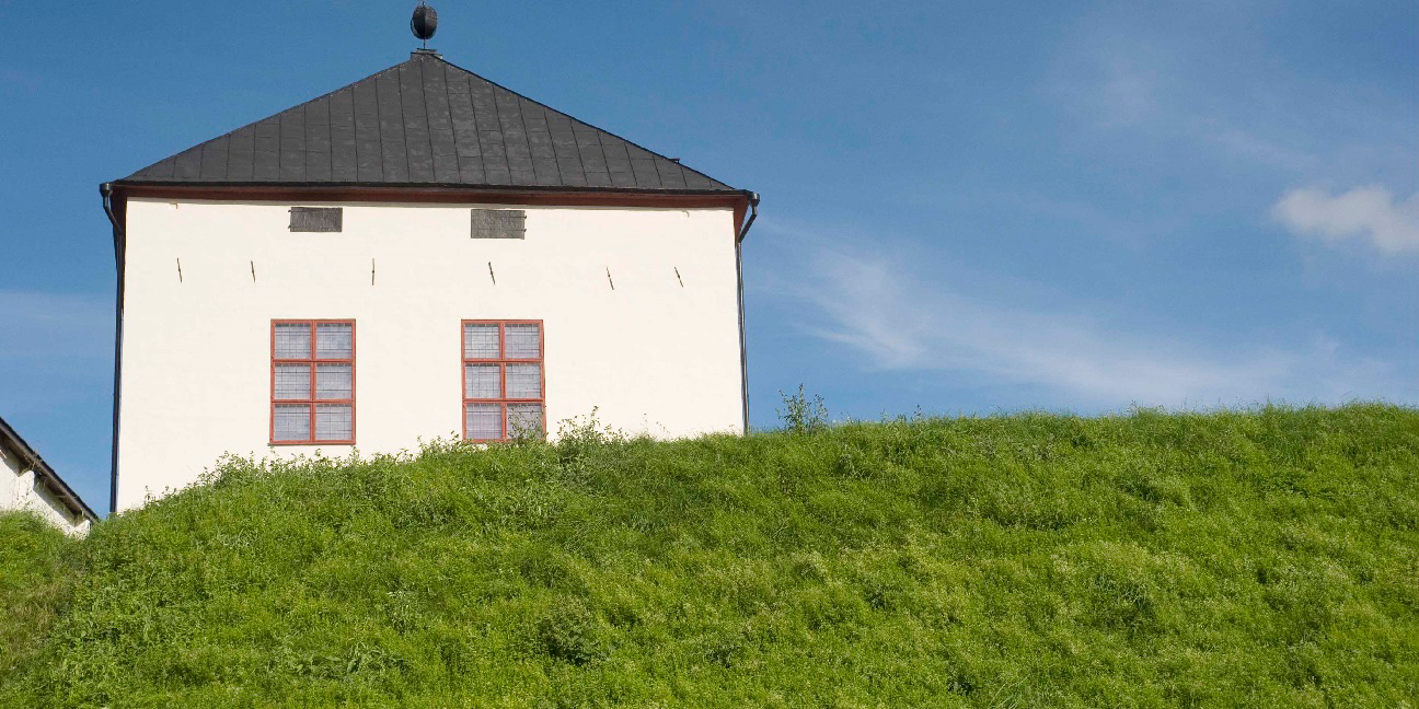 Nyköpings hus tittar fram bakom en gräsbeklädd kulle.