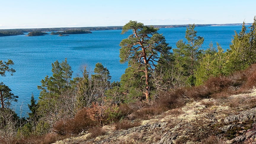 En bergssluttning leder ned mot havet.