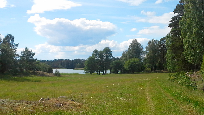 En äng i en skog vid en sjö.